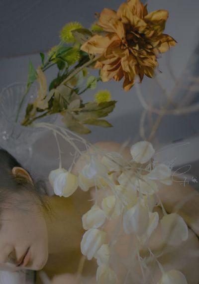 昭和通奸_BD英语在线观看电视